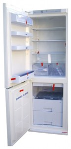 Snaige RF36SH-S10001 Холодильник фотография