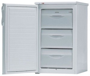 Gorenje F 3101 W Tủ lạnh ảnh