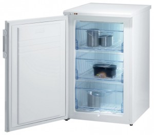Gorenje F 54100 W Tủ lạnh ảnh