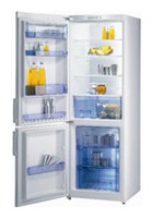 Gorenje RK 60355 DW Холодильник фотография