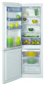 BEKO CSA 29010 Холодильник фотография