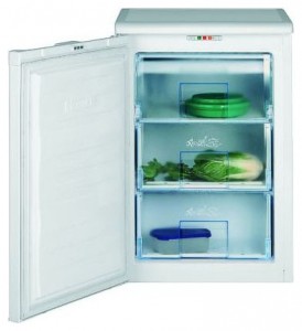 BEKO FSE 1010 Refrigerator larawan