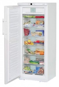 Liebherr GNP 2906 Refrigerator larawan