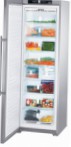 Liebherr SGNes 3011 Tủ lạnh
