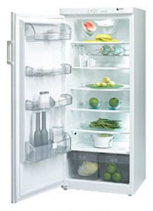 Fagor 1FSC-18 EL Refrigerator larawan
