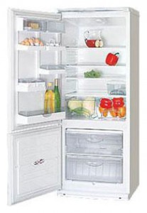 ATLANT ХМ 4009-012 Tủ lạnh ảnh
