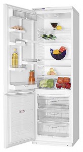 ATLANT ХМ 5013-001 Tủ lạnh ảnh