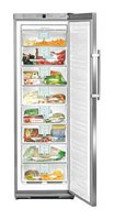 Liebherr GNes 2866 Холодильник фото