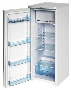 Бирюса R110CA Холодильник фото