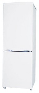 Hisense RD-21DC4SA Refrigerator larawan