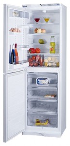 ATLANT МХМ 1848-63 Refrigerator larawan