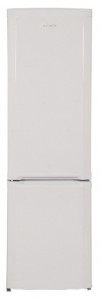 BEKO CSA 31021 Refrigerator larawan