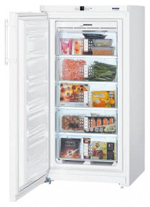 Liebherr GN 2613 Tủ lạnh ảnh
