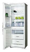 Snaige RF310-1T03A Tủ lạnh ảnh