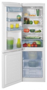 BEKO CS 328020 Холодильник фотография