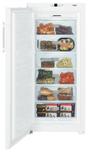Liebherr GN 3113 Холодильник фотография