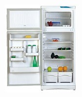 Stinol 242 EL Холодильник фото