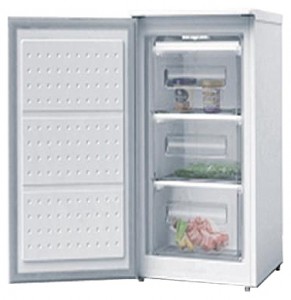 Wellton GF-80 Tủ lạnh ảnh