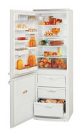 ATLANT МХМ 1717-01 Холодильник фото