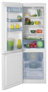 BEKO CS 332020 Холодильник фото