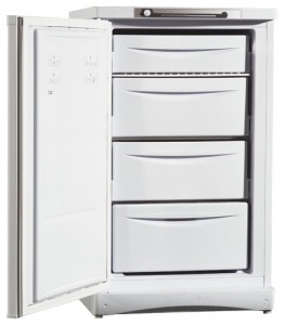 Indesit SFR 100 Refrigerator larawan
