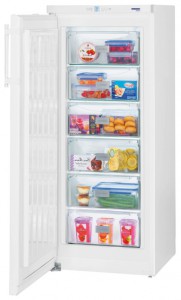 Liebherr GP 2433 Refrigerator larawan