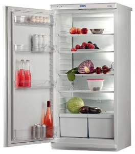 Pozis Свияга 513-3 Холодильник фотография