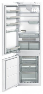 Gorenje GDC 67178 FN Refrigerator larawan