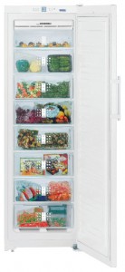 Liebherr SGN 3010 Холодильник фото
