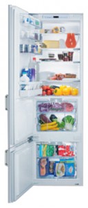 V-ZUG KCi-r Buzdolabı fotoğraf