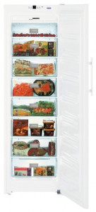 Liebherr SGN 3063 Холодильник фотография