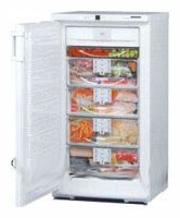 Liebherr GSN 2026 Refrigerator larawan