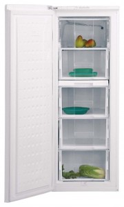 BEKO FSE 21906 Tủ lạnh ảnh