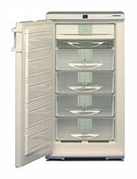 Liebherr GSN 2023 Холодильник фотография