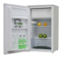 WEST RX-11005 Холодильник фотография