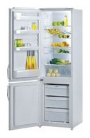 Gorenje RK 4295 E Холодильник фотография