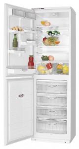 ATLANT ХМ 6025-100 Refrigerator larawan