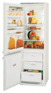ATLANT МХМ 1804-01 Холодильник фото