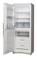 Snaige RF300-1101A Холодильник фотография