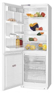 ATLANT ХМ 6019-037 Tủ lạnh ảnh
