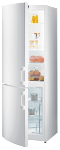 Gorenje RK 61811 W Холодильник фотография