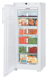 Liebherr GN 2313 Холодильник фотография