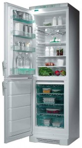 Electrolux ERB 3106 Refrigerator larawan