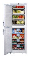 Liebherr BGNDes 2986 Холодильник фото