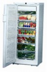 Liebherr BSS 2986 Холодильник