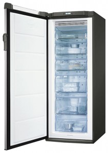 Electrolux EUF 20430 X 冰箱 照片