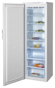 BEKO FN 129920 Refrigerator larawan