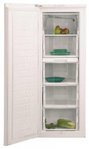 BEKO FSE 21920 Tủ lạnh ảnh