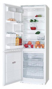 ATLANT ХМ 6019-001 Холодильник фото