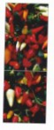 Snaige RF36SM-S10021 36-26 Tủ lạnh